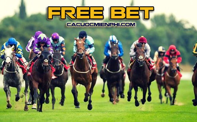 Cửa hàng game lớn cấp 23Vip - 23Vip