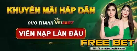 Tôi có cần xác minh tài khoản Sv388 của mình không? - Sv388