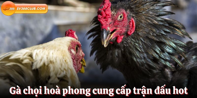Đăng nhập vào Kc88 trên máy tính của bạn - Kc88