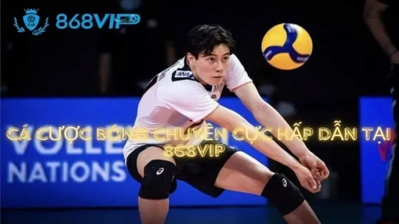 Các bước đơn giản để đăng ký làm đại lý V6bet - V6bet