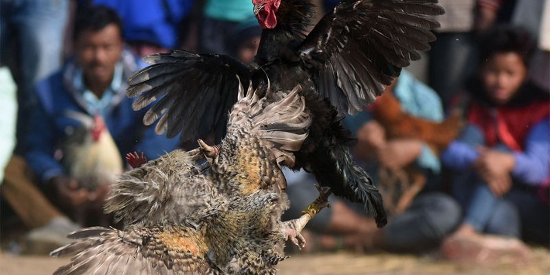 Thông tin cập nhật khuyến mãi mới nhất của Typhu88 - Typhu88