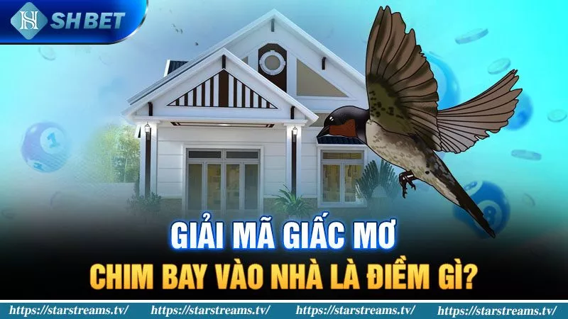 Trò chơi máy đánh bạc vui nhộn Nbet - Nbet