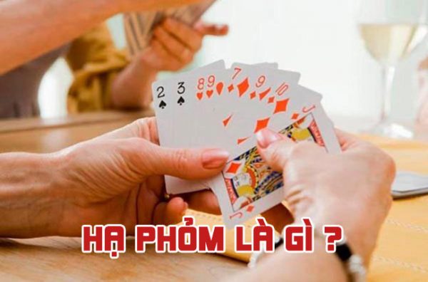 Thông tin cơ bản về các trang web chơi game trực tuyến cấp N88 - N88