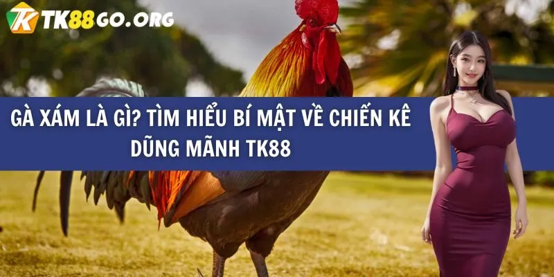 Mb86 là một công ty game lớn và lâu đời trong ngành công nghiệp giải trí - Mb86
