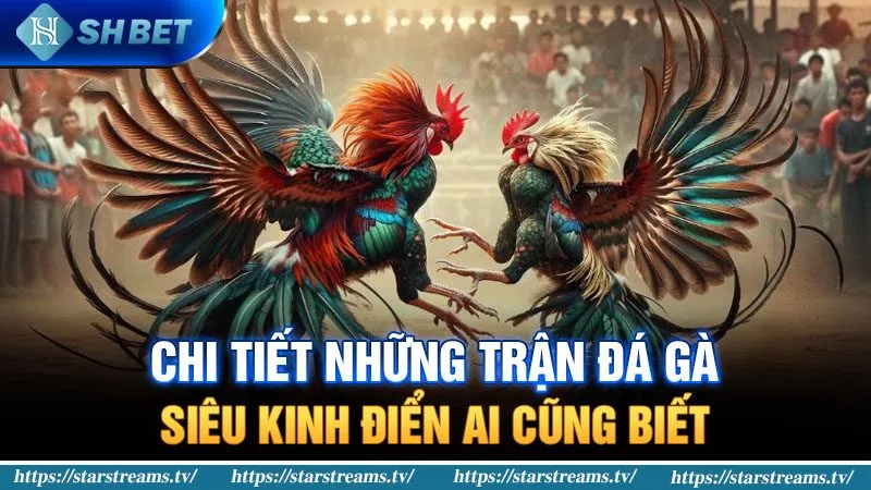 Tôi cần chuẩn bị những gì để nhận được khoản tiền thưởng 66000 đô la do Dv88 đề nghị? - Dv88